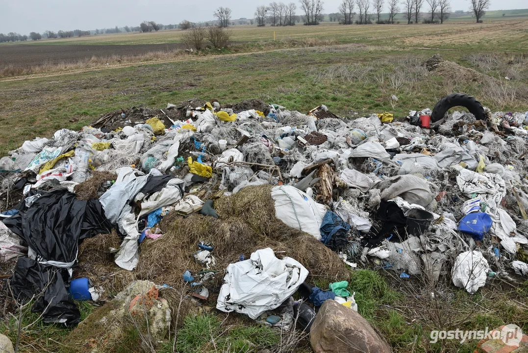 Ogromna hałda śmieci na polu w Żytowiecku