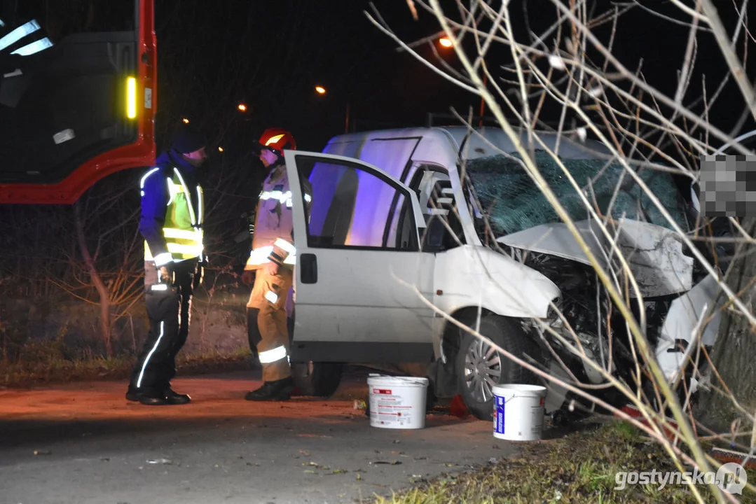 Czołówka z drzewem. Wypadek w Grodzisku (gm. Poniec)