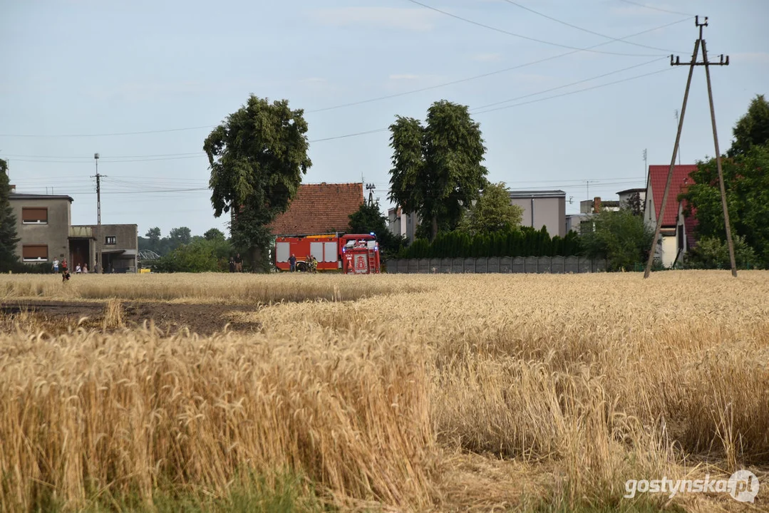 Pożar zboża w Poniecu i Kuczynie