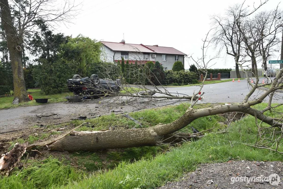 Zderzenie z drzewem na trasie Gostyń - Poniec