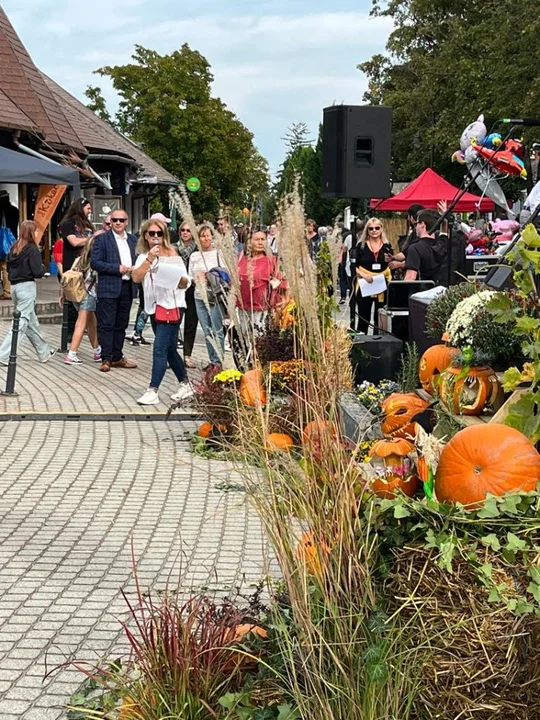 Krotoszyńska delegacja na Festiwalu Folkloru w węgierskim Fonyód