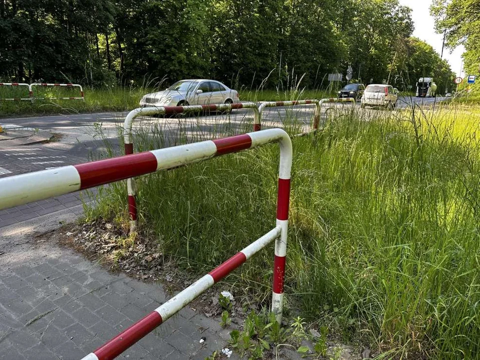 Zarośnięte pobocza w powiecie jarocińskim