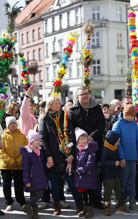 Najdłuższe palmy miały ponad 3 metry