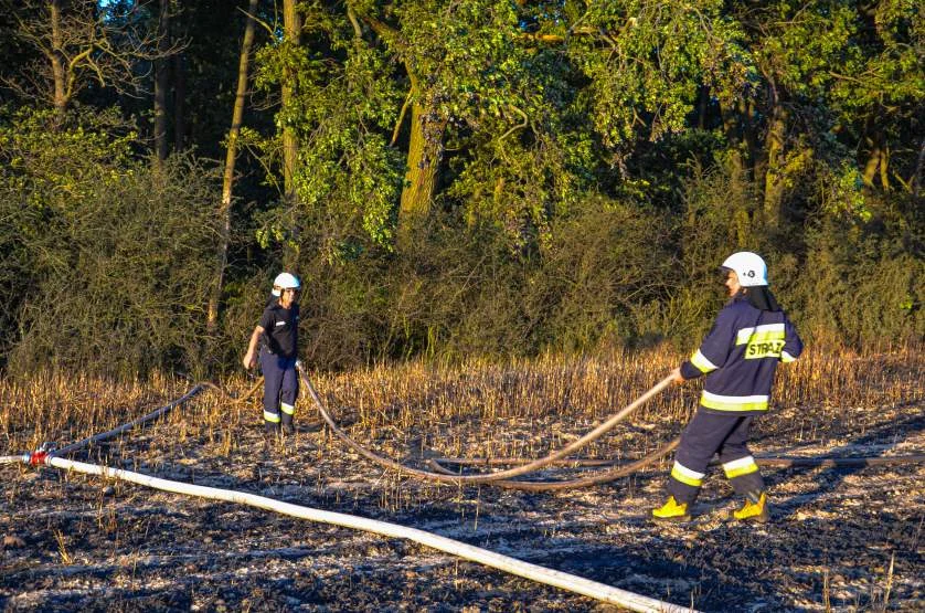 Ekwiwalent dla strażaków z OSP