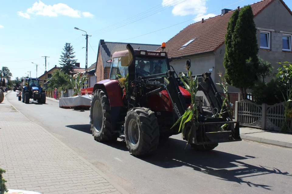 Dożynki wiejskie w Świnkowie