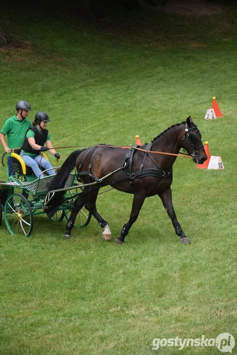 Rokosowo Horse Show 2024 - dzień pierwszy