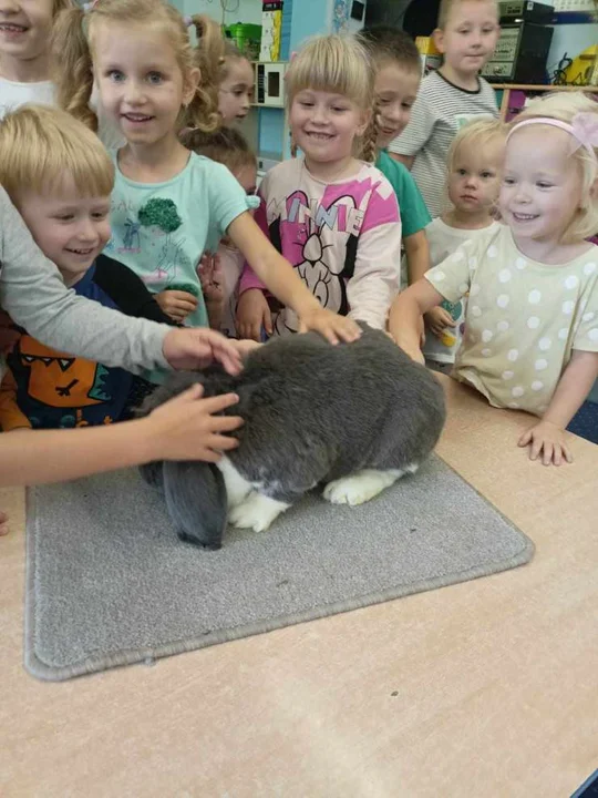 Światowy Dzień Zwierząt w Mieszkowie