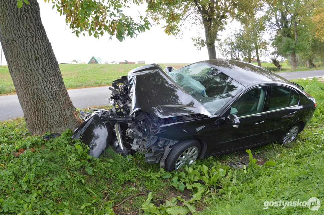 Zderzenie samochodu osobowego z drzewem w Czajkowie