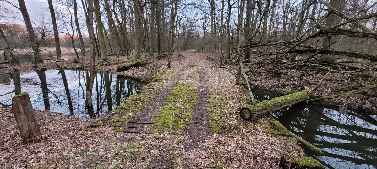 Tereny Żerkowsko-Czeszewskiego Parku Krajobrazowego