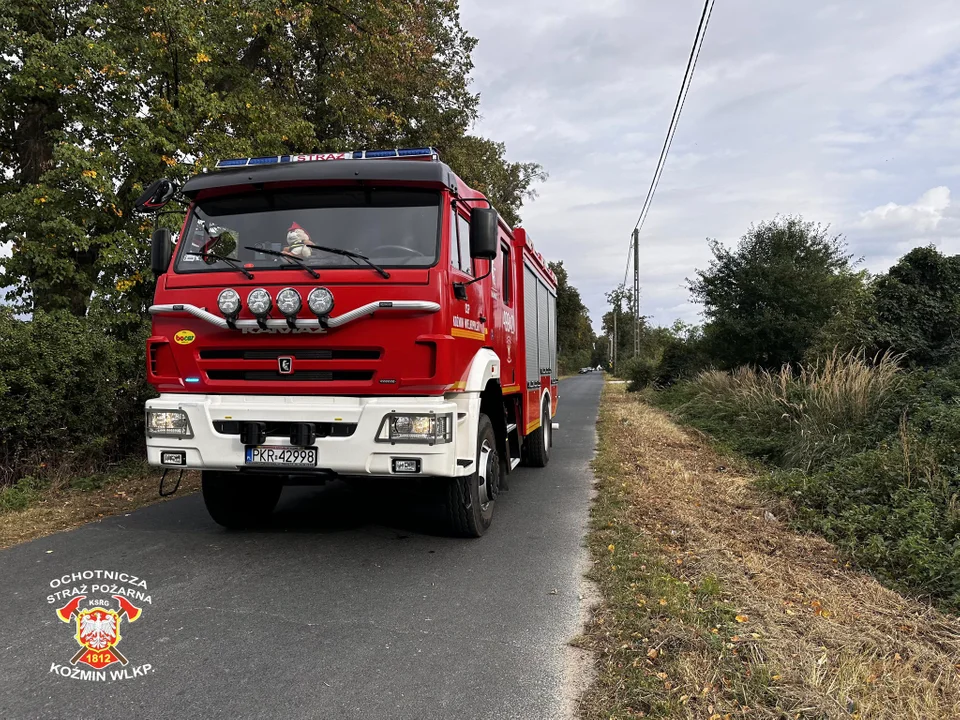 Borzęciczki - Mycielin. Wypadek motorowerzysty