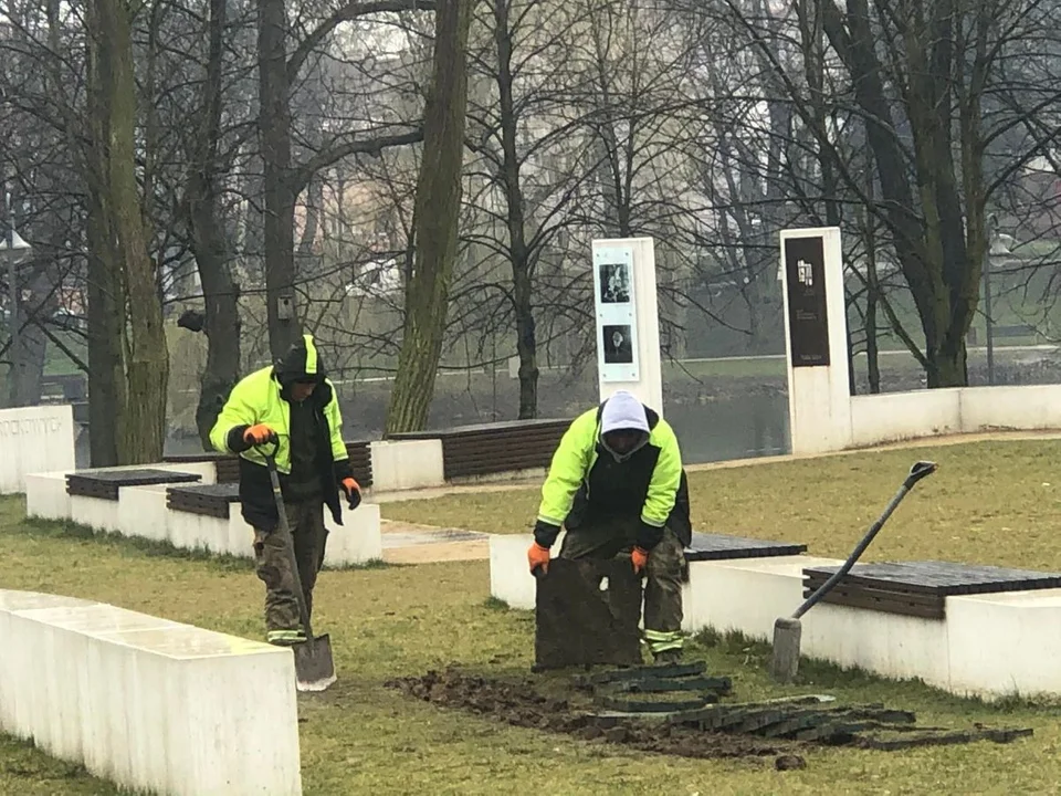 Po raz kolejny rozkopują zielony amfiteatr w Jarocinie