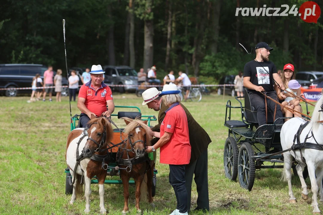 Zawody konne w Pakosławiu