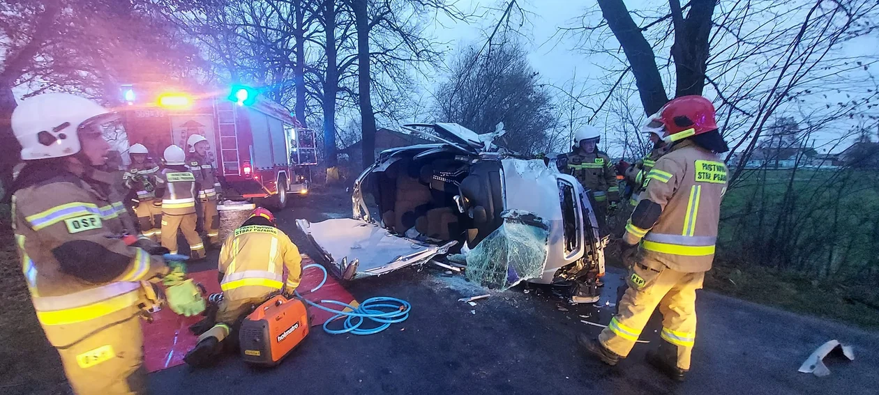 Auto na drodze powiatowej uderzyło w drzewo