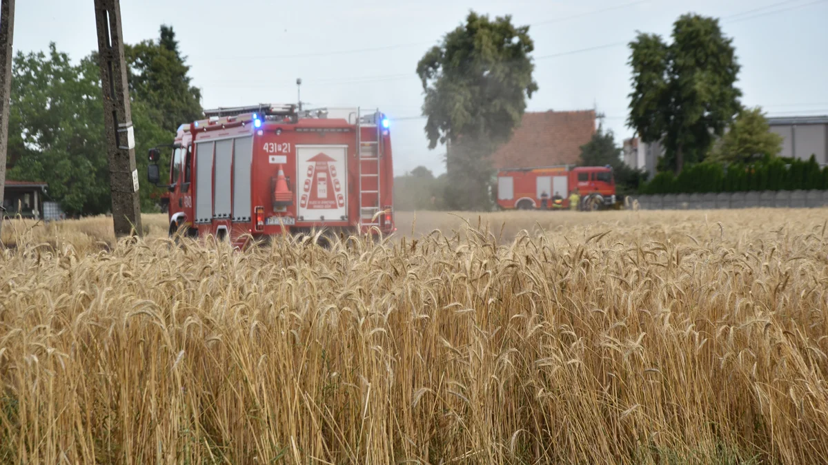 Strażacy „uratowali 10 tysięcy”. Dwa pożary zboża w powiecie gostyńskim wybuchły równocześnie - Zdjęcie główne