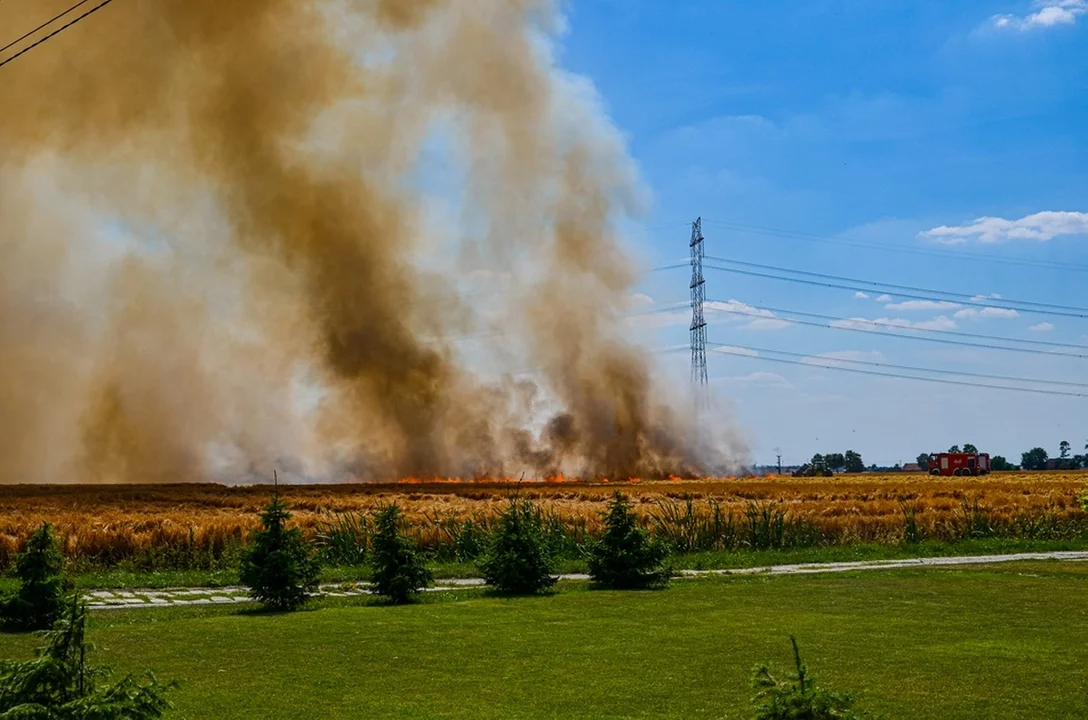 Pożar w miejscowości Trzebin