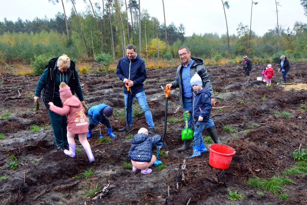 Kuklinów. Posadzili nowy las