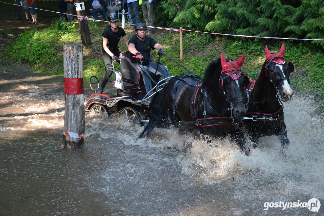 Rokosowo Horse Show 20224 - Konie i Powozy na Zamku Wielkopolskim w Rokosowie