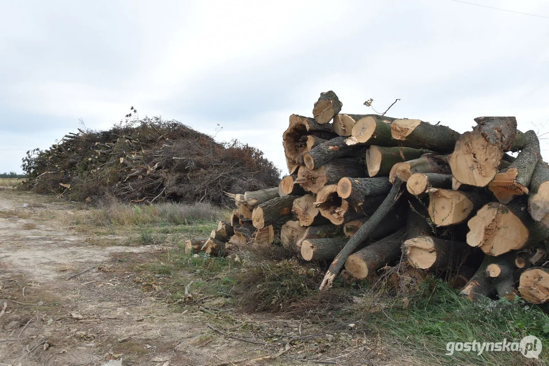 Trwają prace przy obwodnicy DK12 dla Gostynia. Co się dzieje na placu budowy?