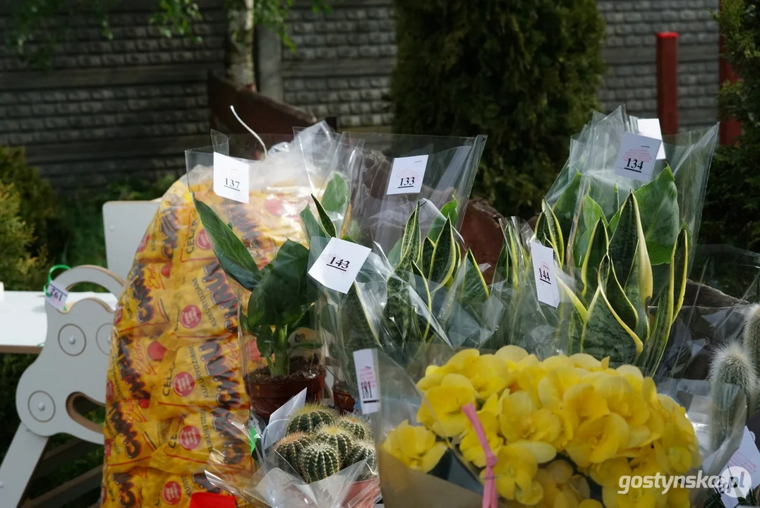 Piknik "Rodzinna Majówka" w Bodzewie