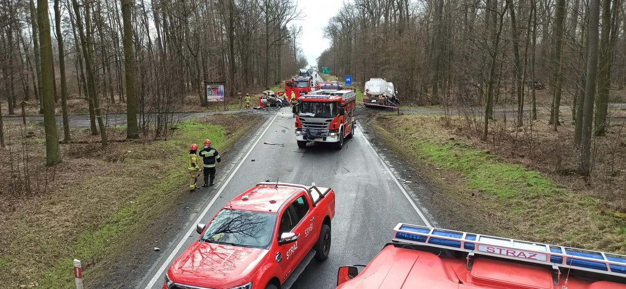 Wypadek śmiertelny. 39-latek z powiatu krotoszyńskiego i 3-letni chłopiec zginęli na miejscu - Zdjęcie główne