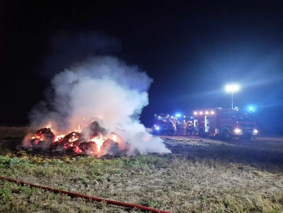 Trzy nocne pożary w gminie Nowe Miasto - Zdjęcie główne