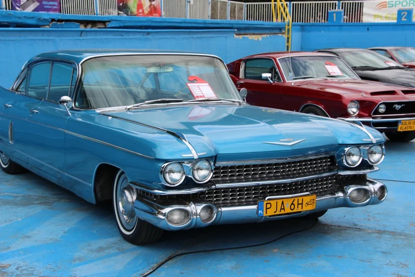 Trwa P.A. Cars Fest