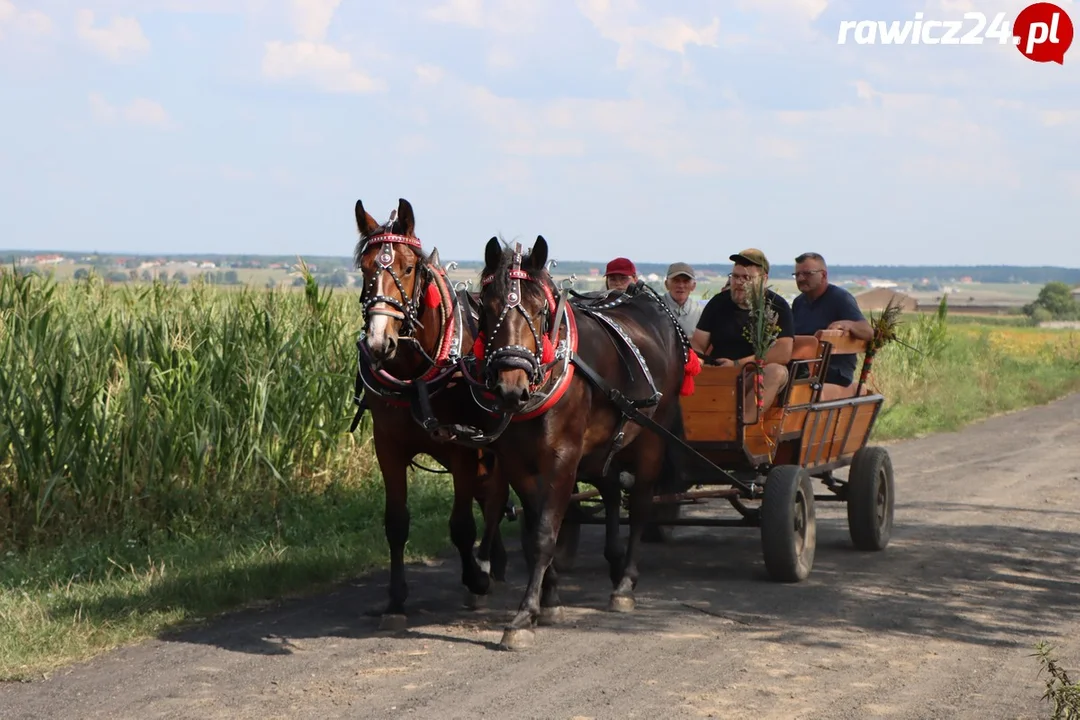 Rajd Konny Śladami Rodziny Czartoryskich