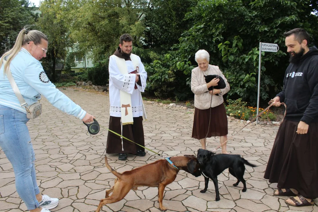 U franciszkanów w Jarocinie z okazji odpustu błogosławiono zwierzęta