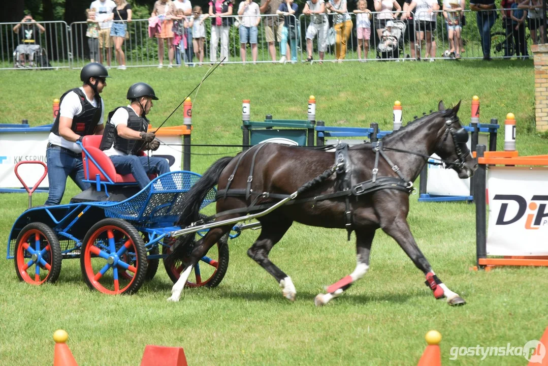 Rokosowo Horse Show 2024 - dzień pierwszy