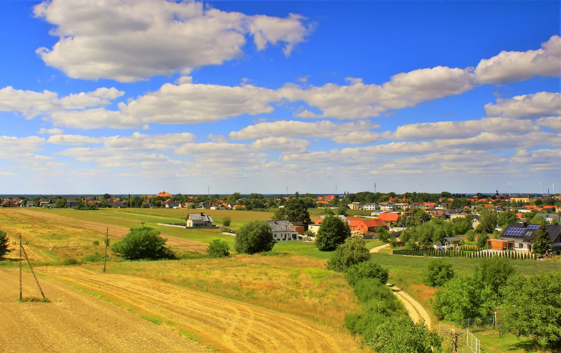 Widok z wieży widokowej w Krotoszynie