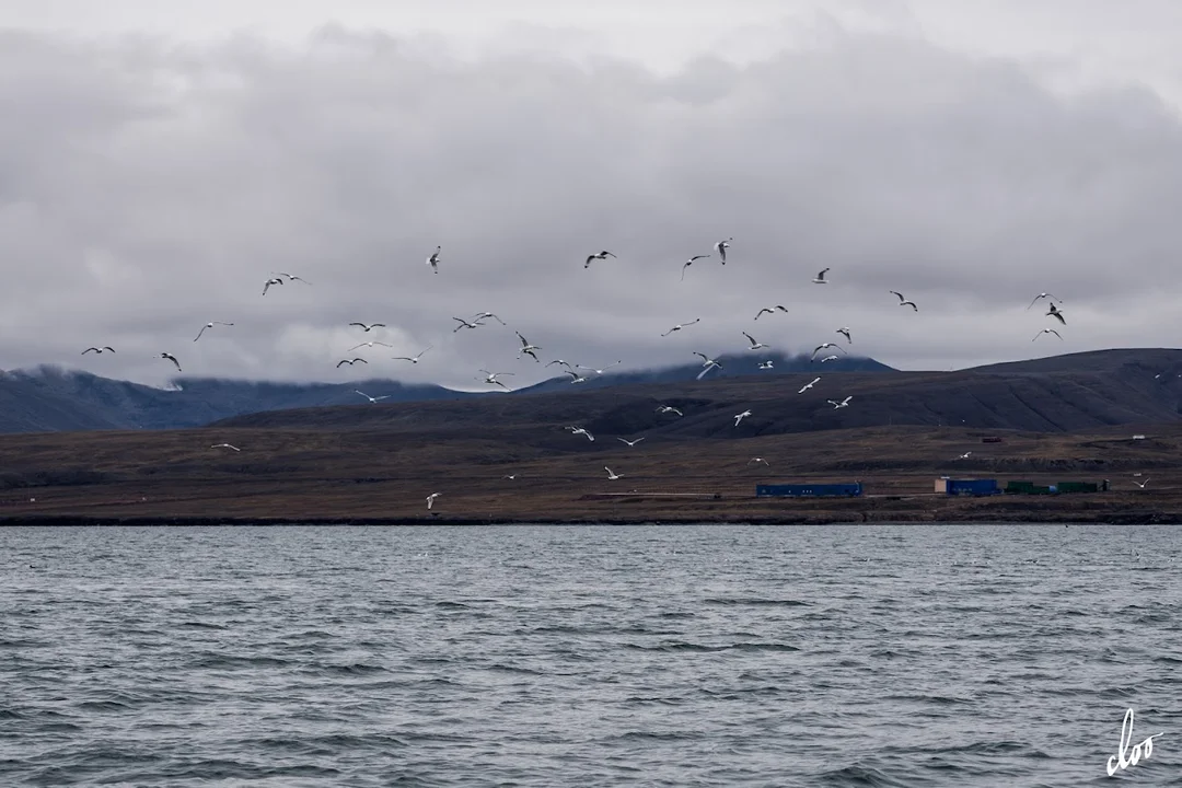 Wyprawa pleszewian na Spitsbergen