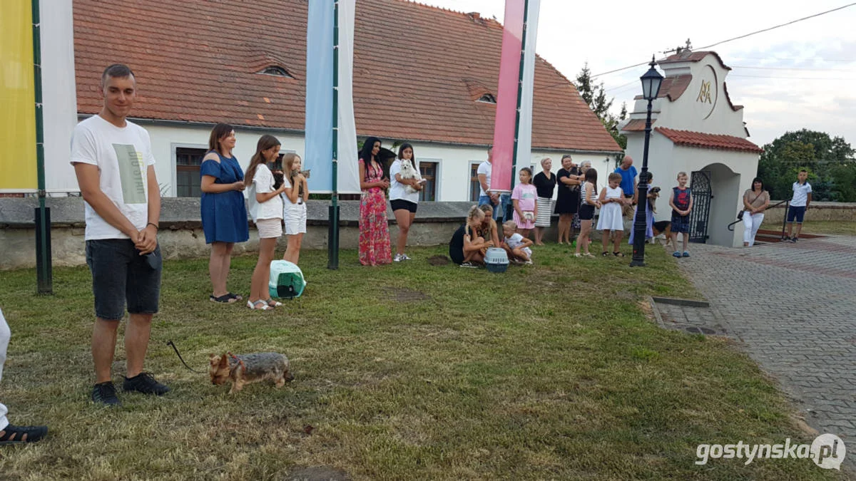 Błogosławieństwo zwierząt domowych w kościele w Starym Gostyniu