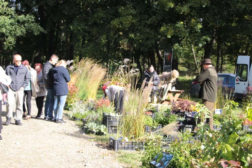 Wyróżnienie dla KGW w Witaszyczkach na targach w Marszewie