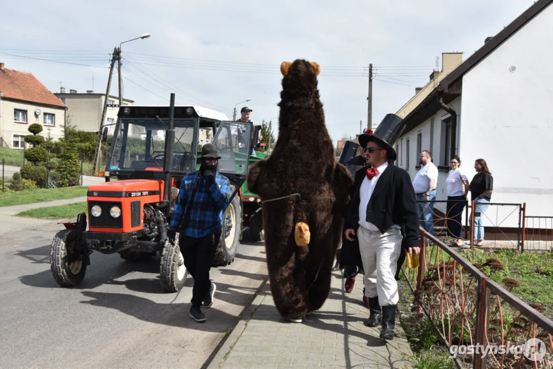 "Niedźwiedzie" wróciły do Zalesia - wesoły śmigus-dyngus