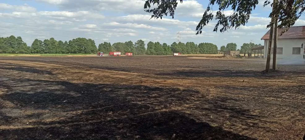 Pożar w Boguszynku w gminie Nowe Miasto