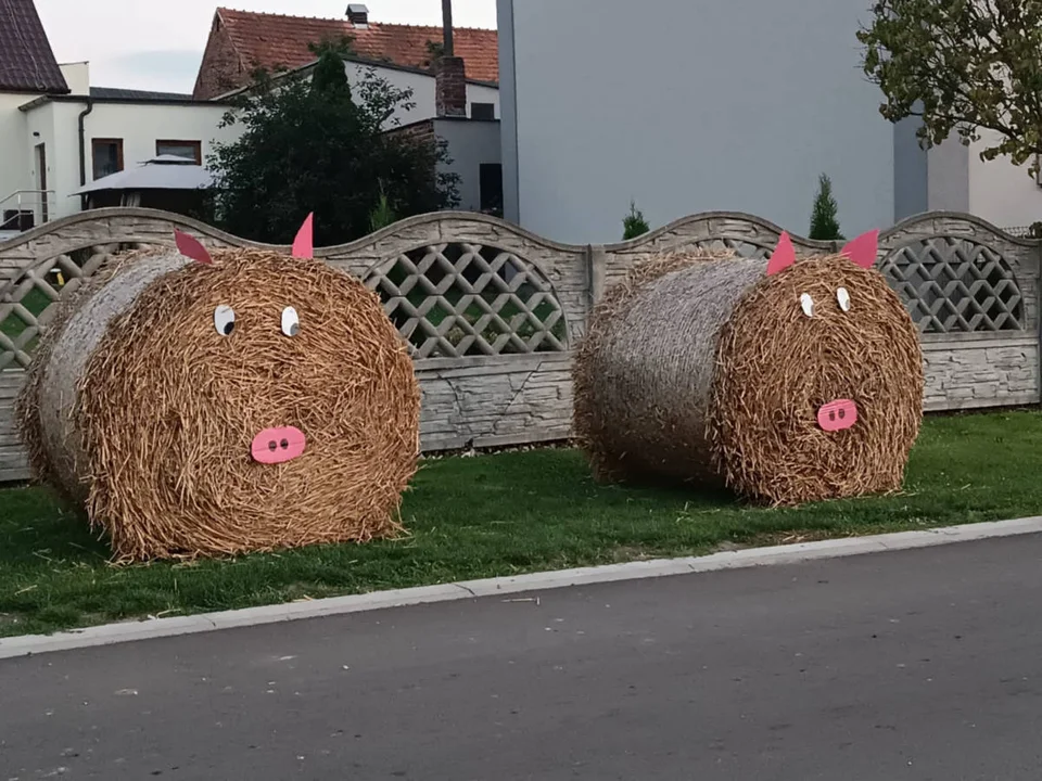 Dożynki w Kromolicach (gm. Pogorzela) na wypasie