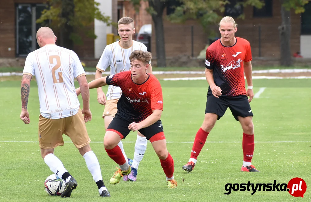 Wisła Borek Wielkopolski - Lider Swarzędz 2 : 0