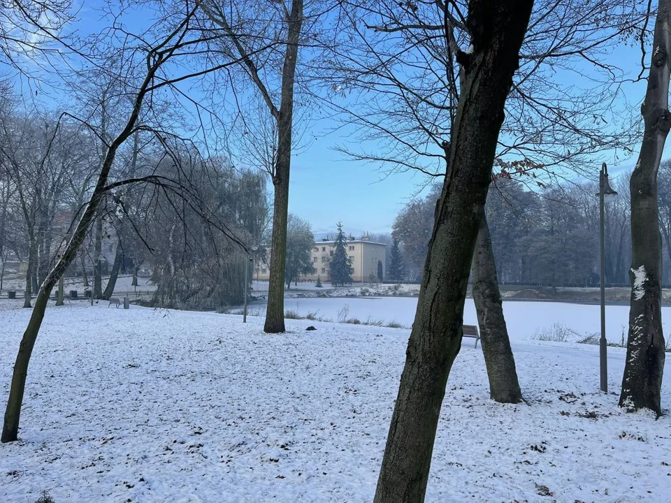 Myślała, że mężczyzna wpadł do stawu w Jarocinie. Zaalarmowała służby ratunkowe - Zdjęcie główne