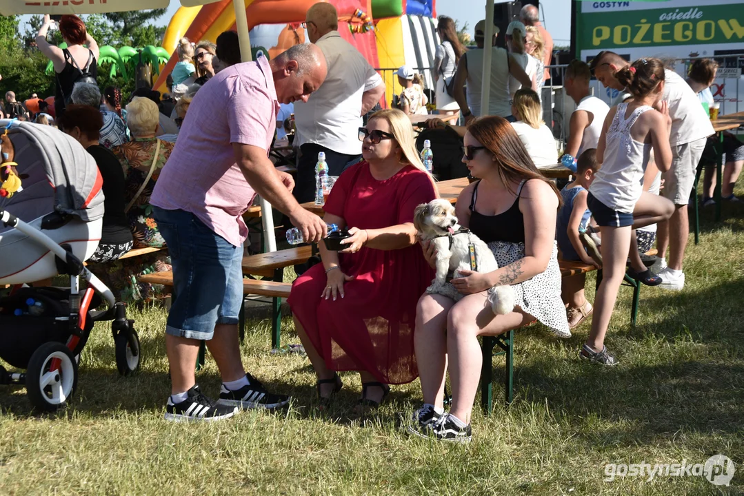 Piknik Osiedlowy Pożegowo Gostyń 2023