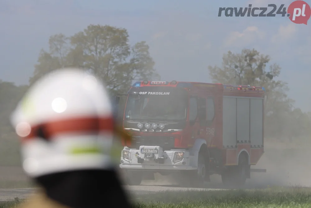 Pożar w lesie pomiędzy Zieloną Wsią a Dębnem Polskim