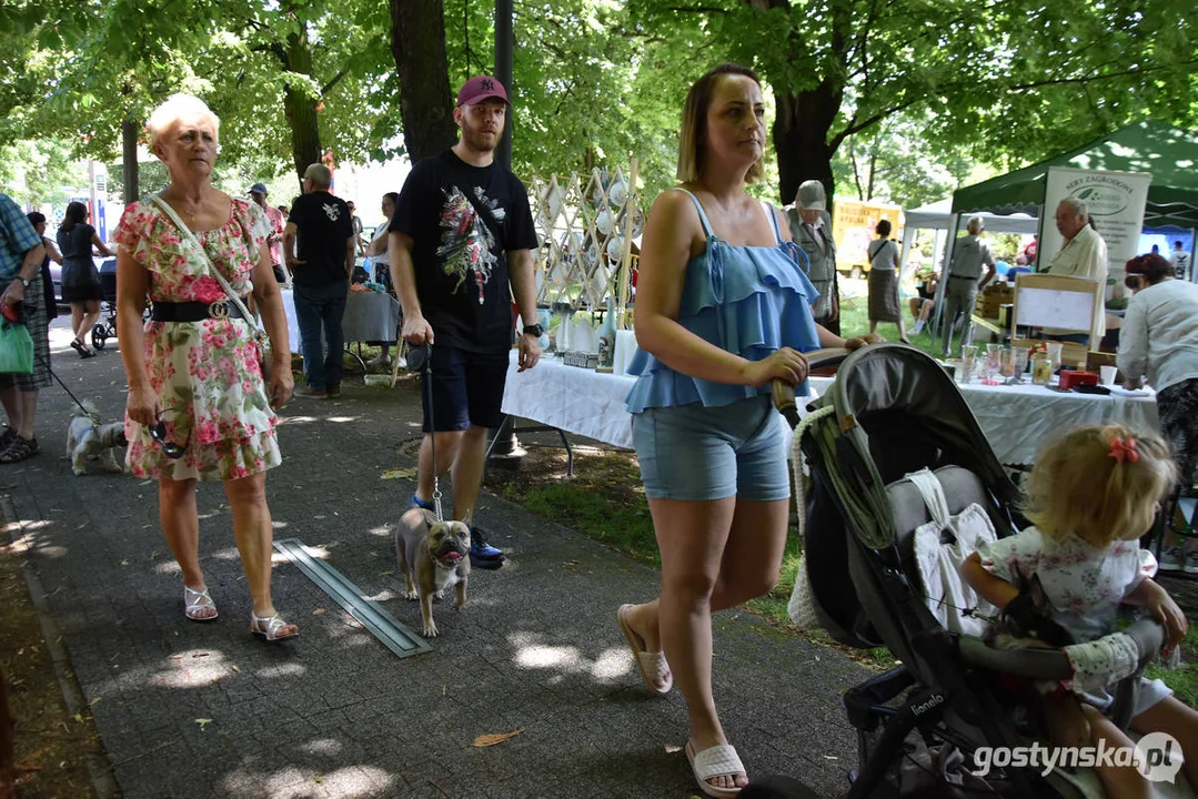 II Kulturalny Piknik na Plantach w Gostyniu