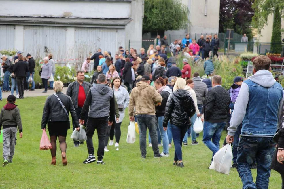 Wyróżnienie dla KGW w Witaszyczkach na targach w Marszewie