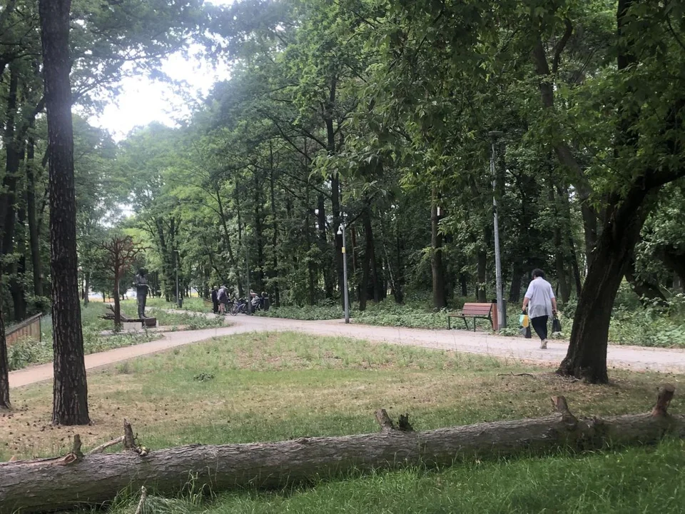 Park przy ulicy Szubianki