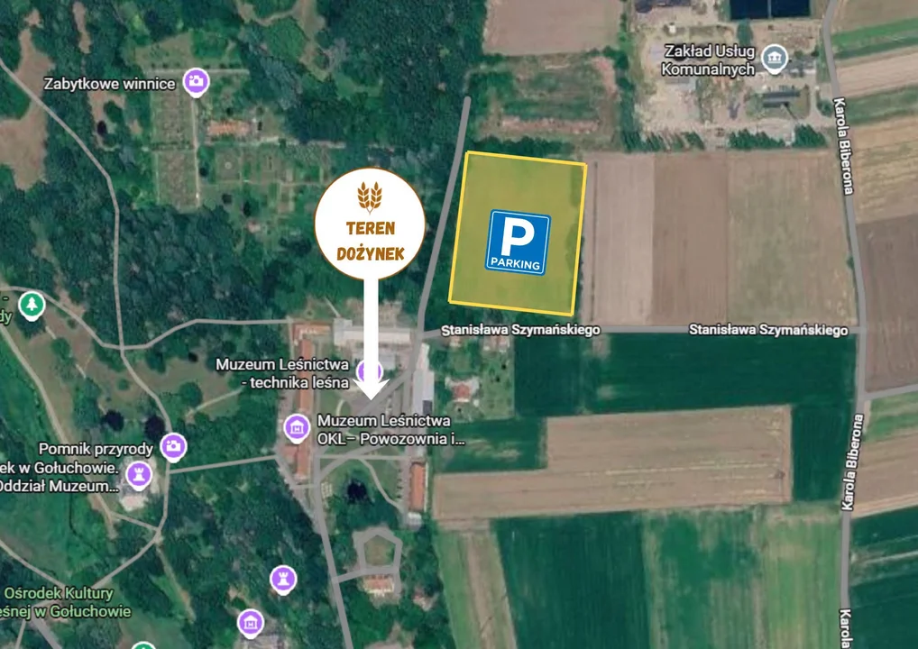 Wybierasz się na powiatowe dożynki do Gołuchowa? Sprawdź, gdzie zaparkować
