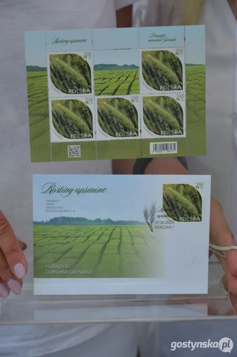 Dni Pola w Szelejewie 2025