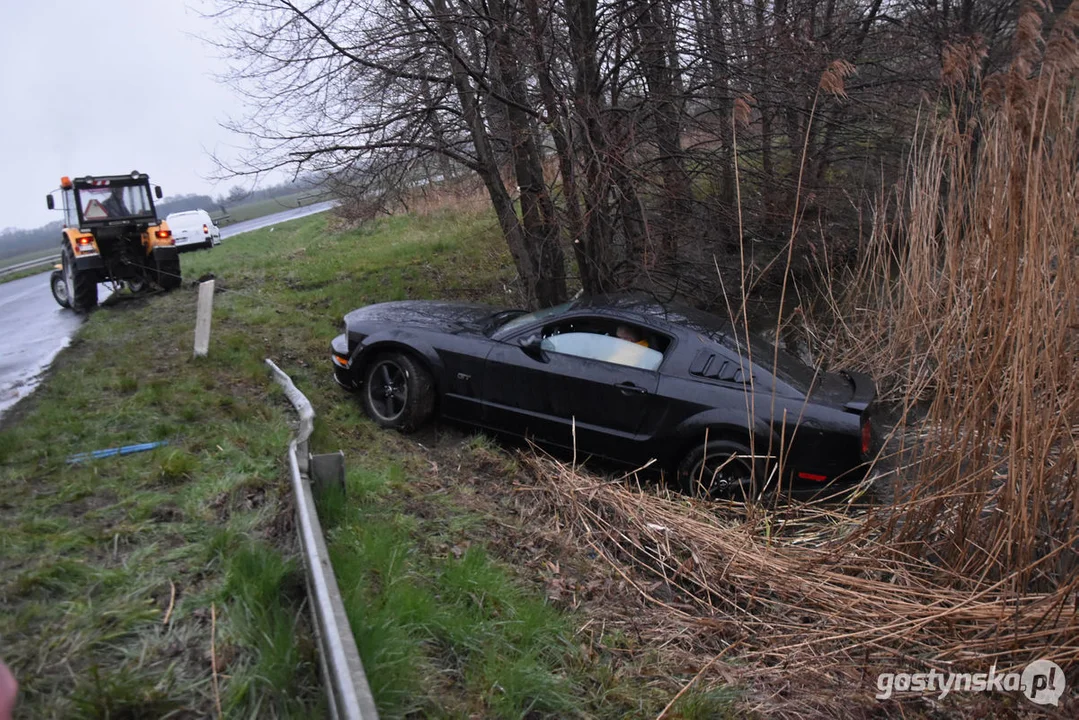 Mustang wpadł do stawu. Straż pożarna z Gostynia w akcji