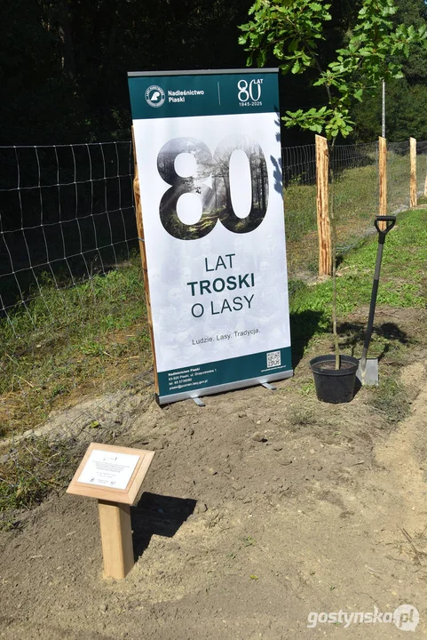 W Nadleśnictwie Piaski powstaje "Las dobry wspomnień"