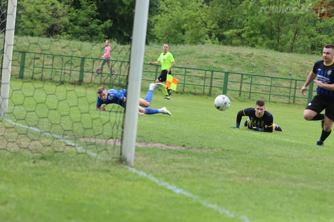 Sarnowianka - Brenewia 2:0