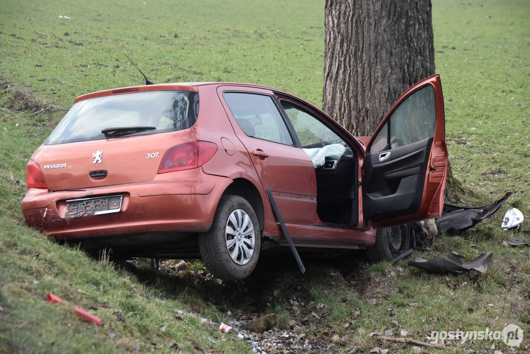 Wypadek samochodowy na drodze Strzelce Wielkie - Lipia (droga Piaski - Pogorzela)