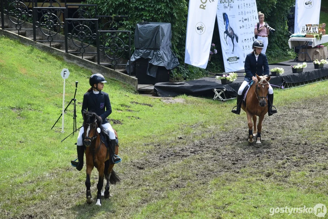 Rokosowo Horse Show - dzień drugi